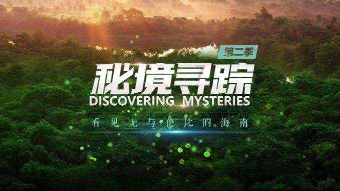 动物狂欢夜